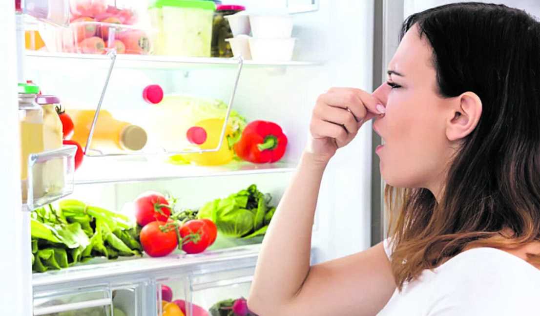 Удалить запах в холодильнике внутри после разморозки помогут простые средства