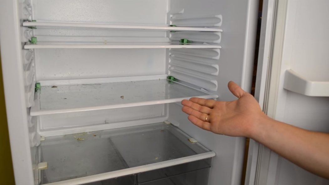 Почему появляется плесень в холодильнике